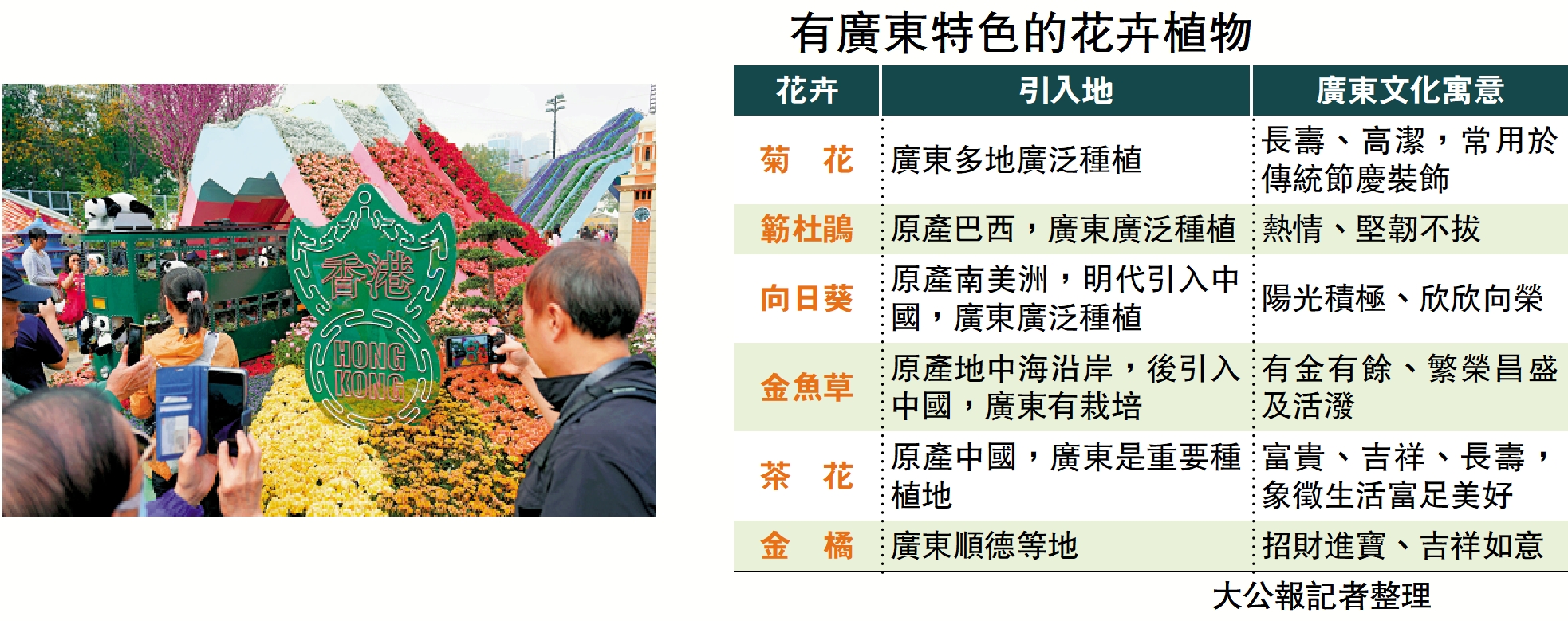 圖:花展將於今晚閉幕,當局會將狀態良好及可再種植的花卉派給市民。\大公報記者麥潤田攝