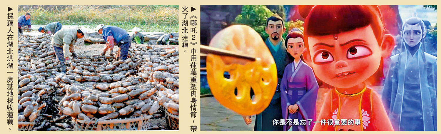 左圖:採藕人在湖北洪湖一處基地採收蓮藕。右圖:《哪吒2》中用蓮藕重塑肉身情節,帶火了湖北蓮藕。