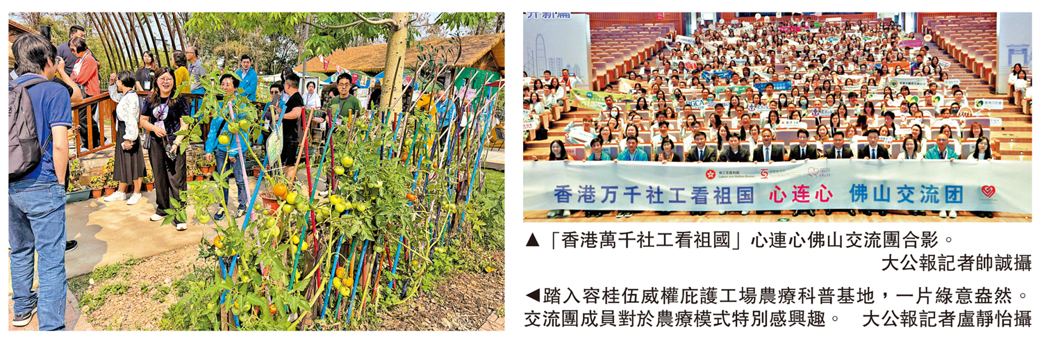 　　左圖：踏入容桂伍威權庇護工場農療科普基地，一片綠意盎然。交流團成員對於農療模式特別感興趣。\大公報記者盧靜怡攝；右圖：「香港萬千社工看祖國」心連心佛山交流團合影。\大公報記者帥誠攝