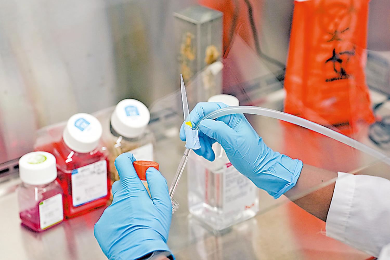 　　圖：一名學生在杜克大學藥理學和癌症生物學實驗室裏進行測試。\美聯社