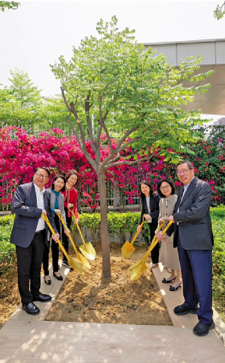 　　圖：陳國基、梁君彥與多位官員和議員，在立法會綜合大樓外參與「國慶樹」種植儀式。