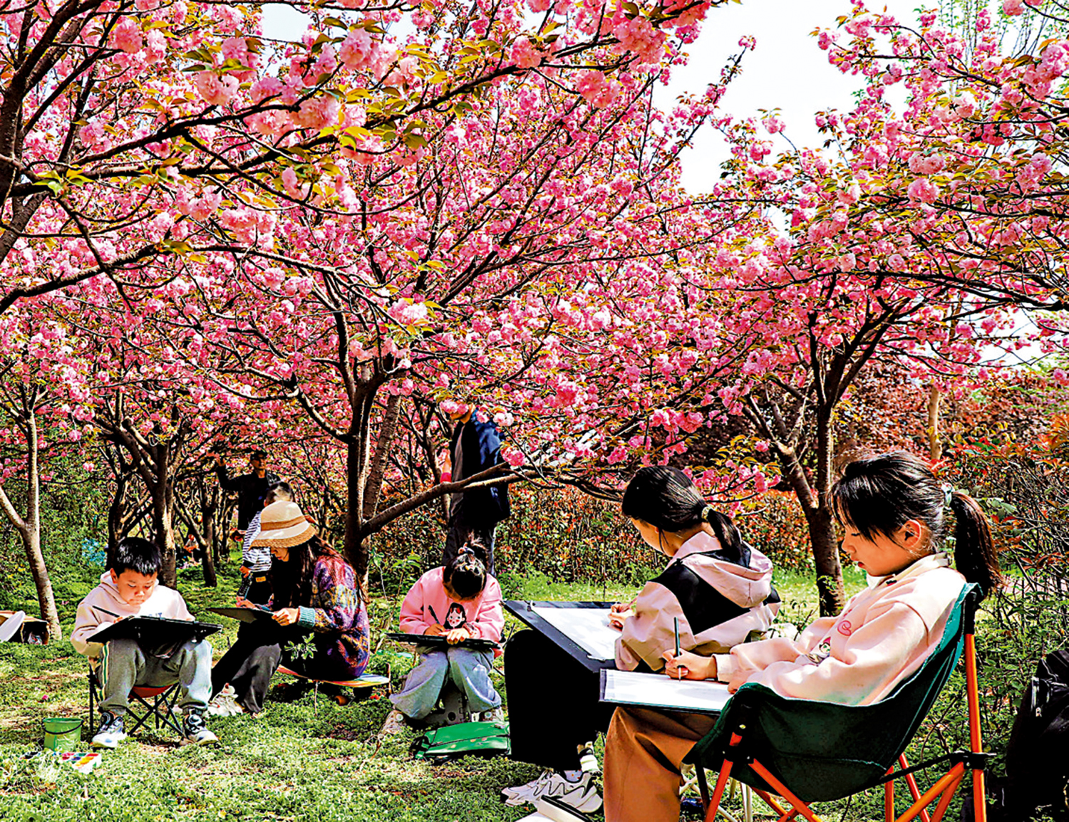 　　圖：春季花香總叫人心醉，各地賞花踏春美不停。在河南省南陽市白河國家城市濕地公園，幾名學生在寫生。\新華社