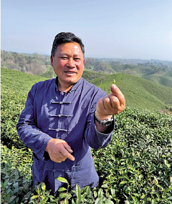 圖:製茶師陳正軍向記者介紹採茶標準。\大公報記者劉蕊攝
