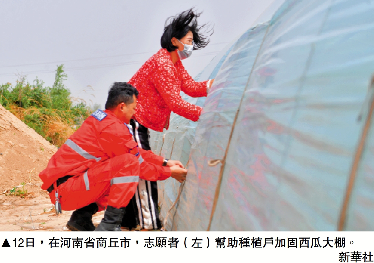 圖:12日,在河南省商丘市,志願者(左)幫助種植戶加固西瓜大棚。\新華社