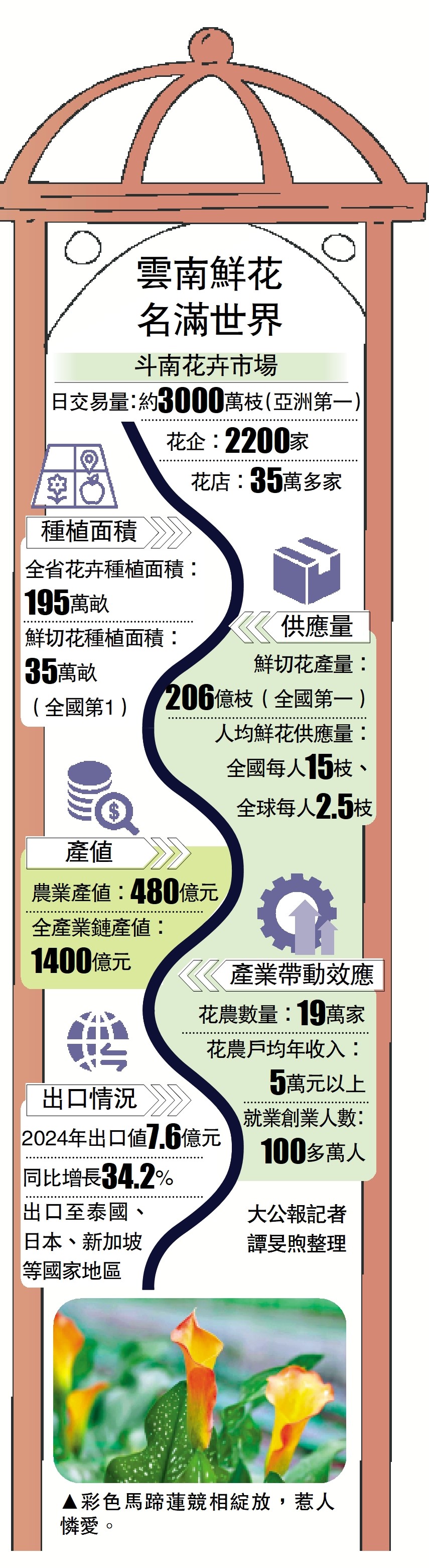 　　圖：雲南鮮花名滿世界