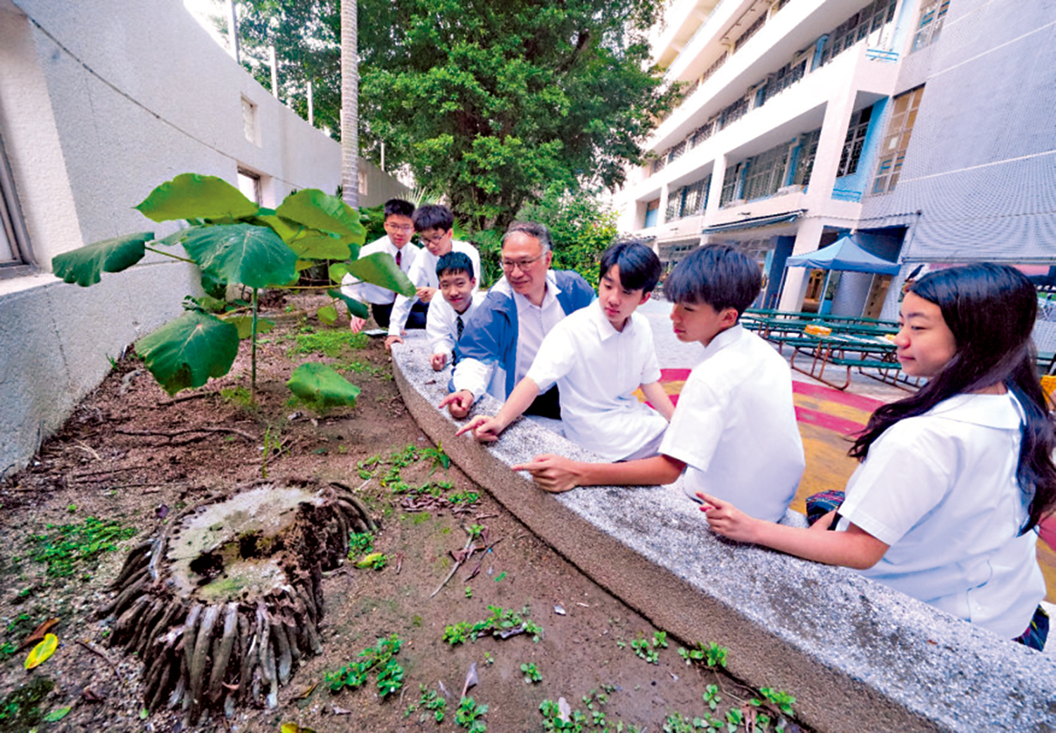 圖:崔家祥校長向GREEN TECH六位同學介紹校園被海水浸泡過的土地。
