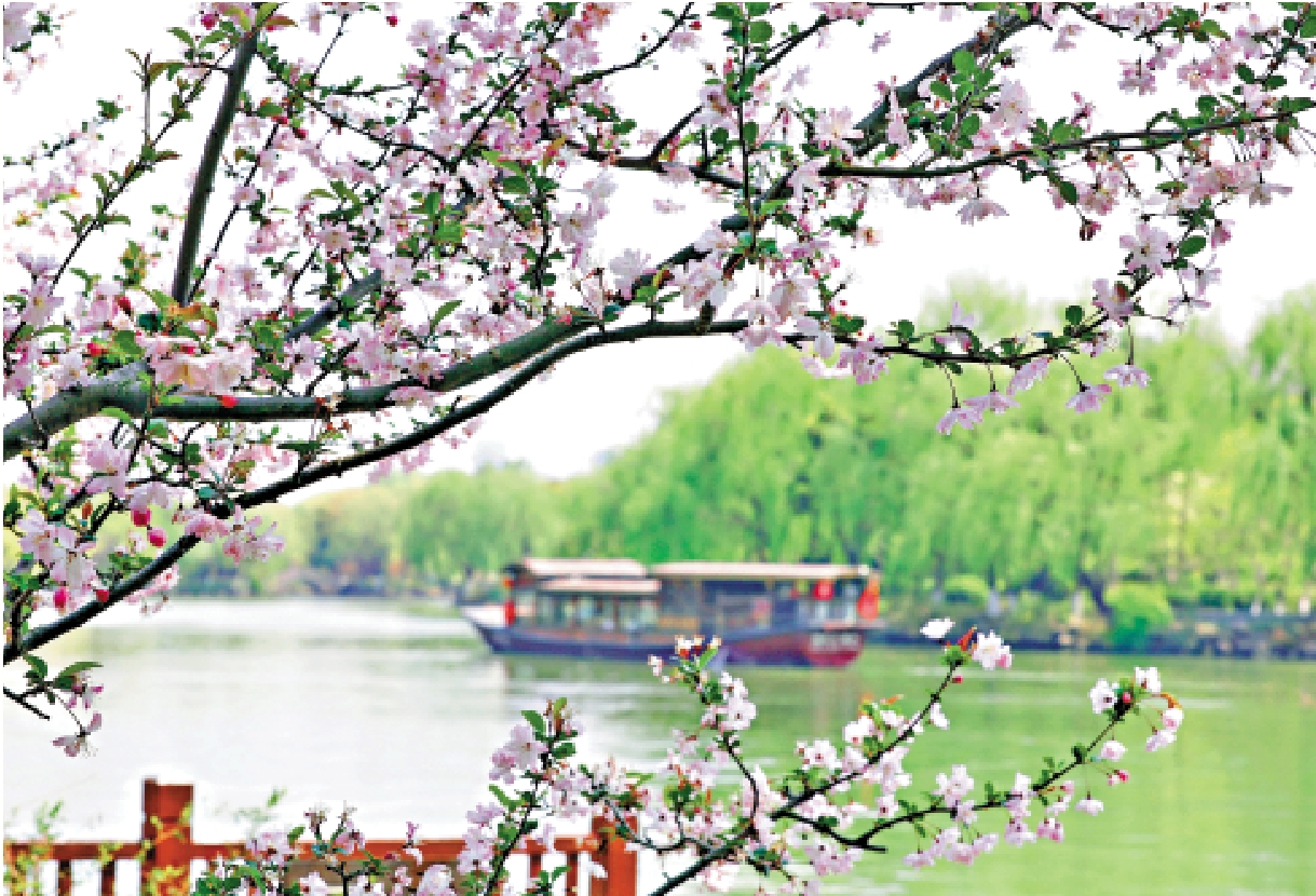 　　圖：浙江省嘉興市南湖風景區一景。\新華社