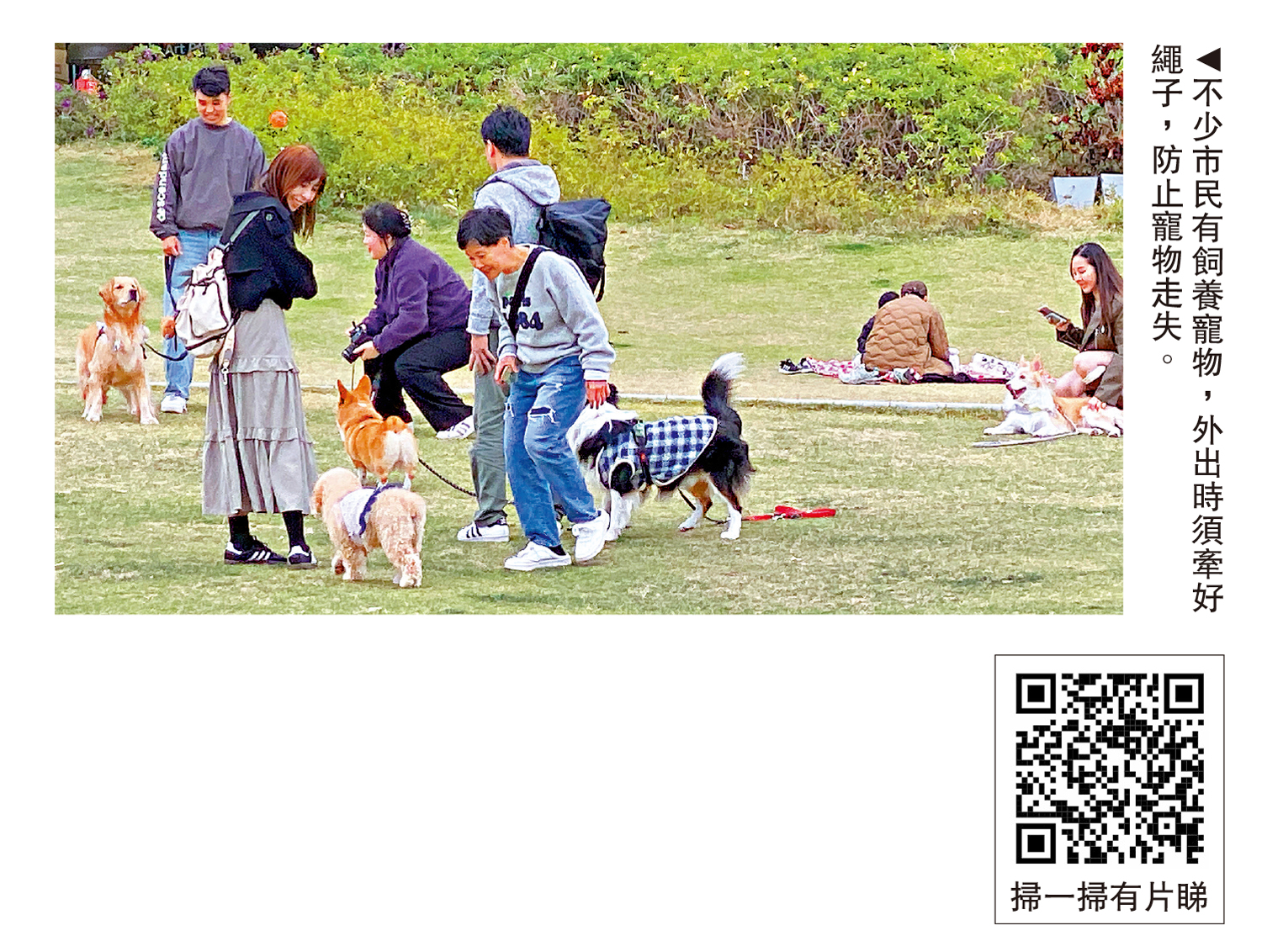　　圖：不少市民有飼養寵物，外出時須牽好繩子，防止寵物走失。