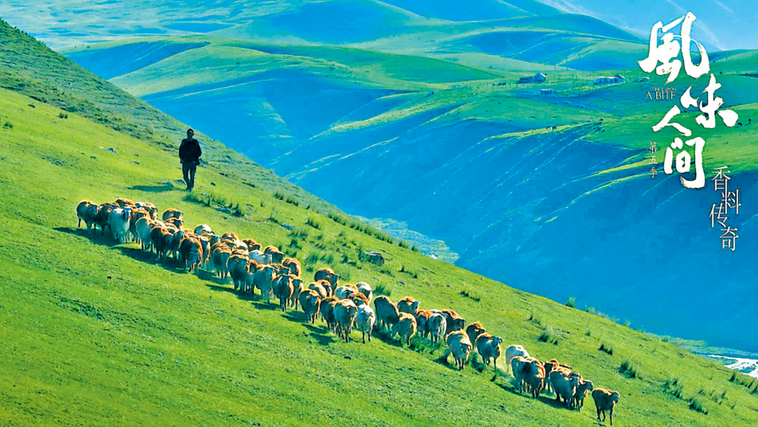 　　圖：《風味人間》第五季劇照。