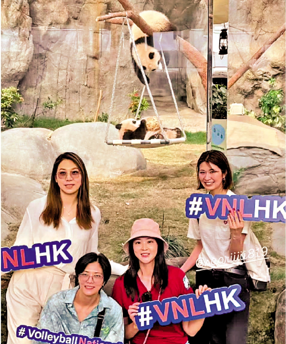 圖:左起:楊珺菁、保琳婕、惠若琪及木村沙織,到訪海洋公園參觀熊貓館。