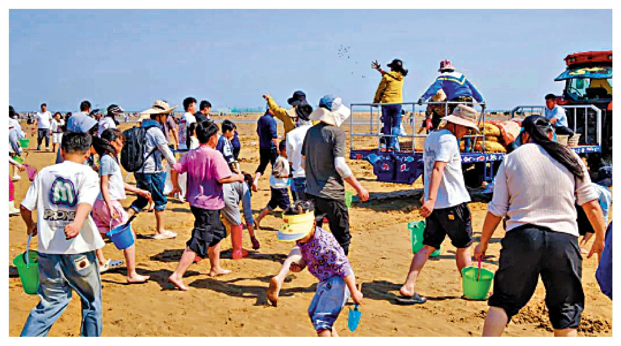 　　圖：五一假期，山東日照迎來大批前來趕海遊玩的遊客。圖為工作人員在撒蛤蜊。