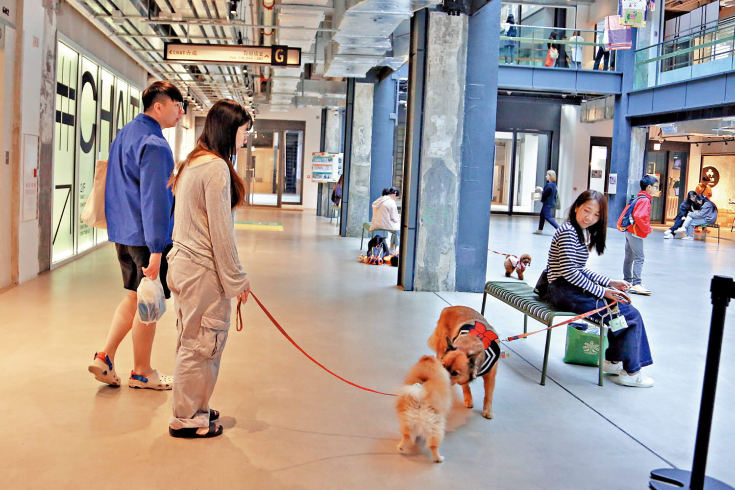 圖:消委會建議有意飼養寵物的市民考慮以領養代替購買。