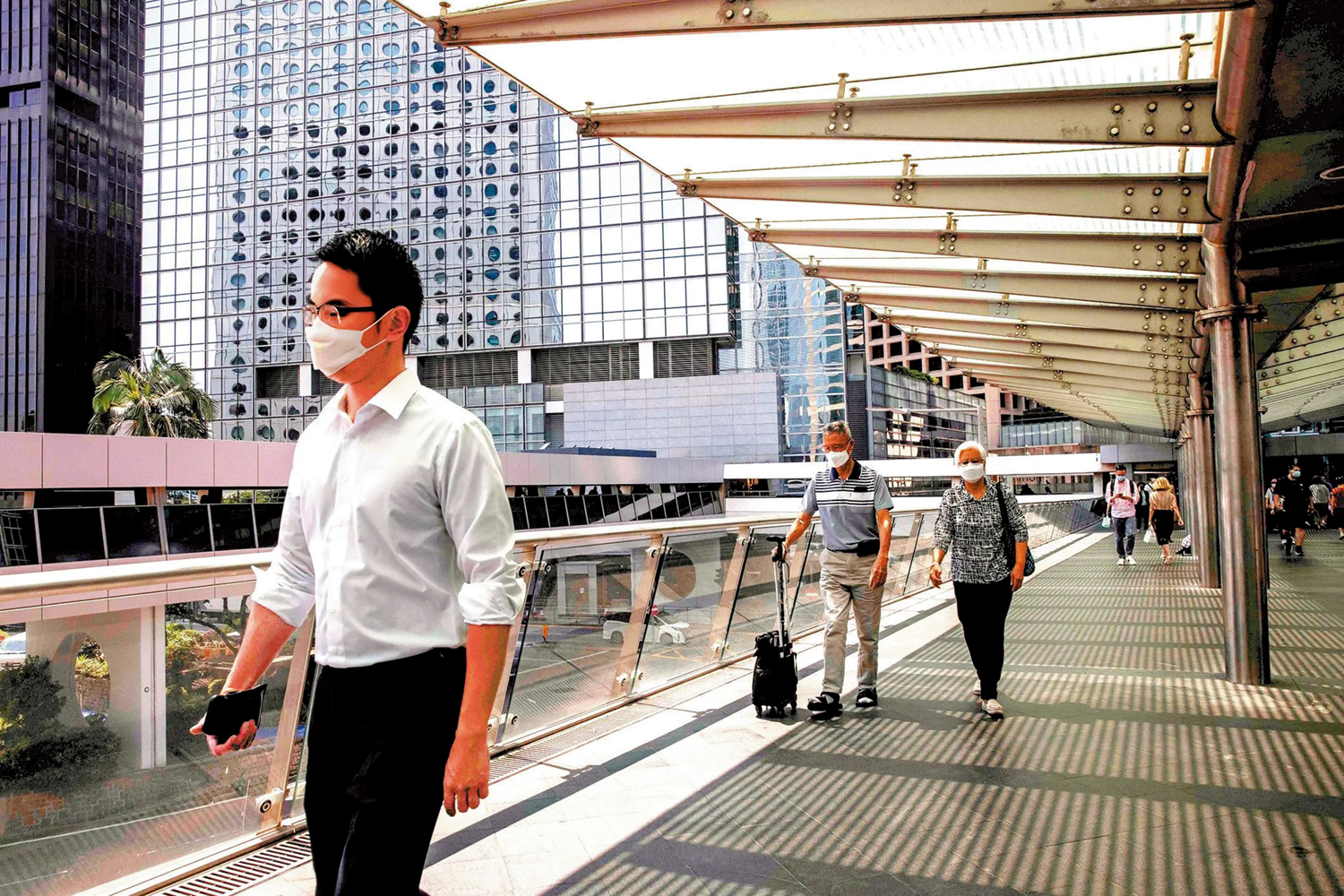 圖:統計處預測,2043年本港每3人便有1人是長者。銀髮族是香港不容忽視的龐大消費群體、生產動力。