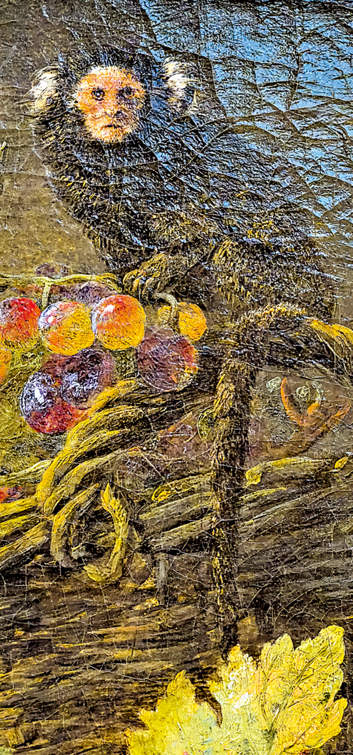 　　圖：揚·費特《有葡萄、灰鸚鵡和猴子的靜物》局部。\作者供圖