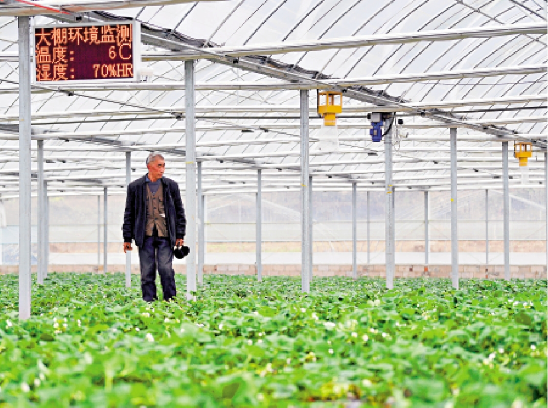 　　圖：農業領域各個環節進行數據化管理，可成為農業金融放款機構評估信用的重要依據。