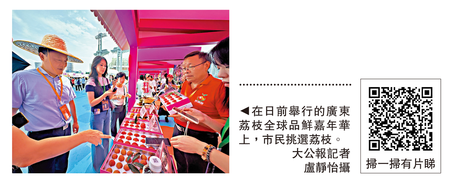 圖:在日前舉行的廣東荔枝全球品鮮嘉年華上,市民挑選荔枝。\大公報記者盧靜怡攝