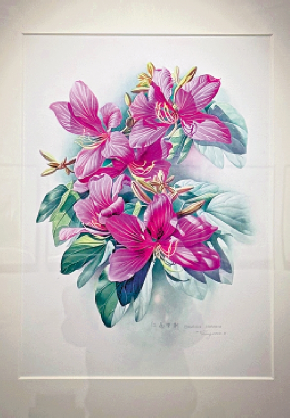 　　圖：曾孝濂作品《紫荊》。/大公報記者郭悅盈攝