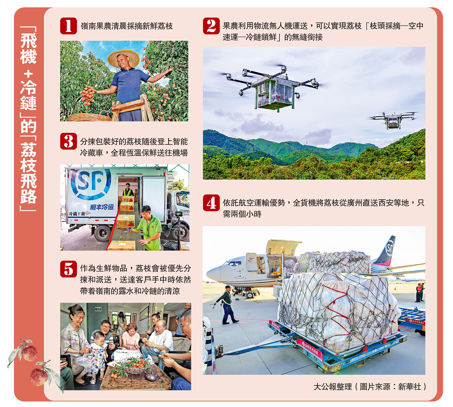 圖:「飛機+冷鏈」的「荔枝飛路」