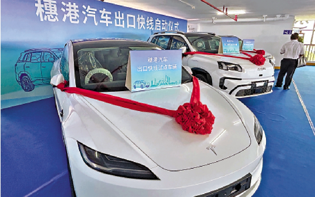 圖:穗港汽車出口快線試點車輛包含多個內地產汽車品牌。\大公報記者敖敏輝攝