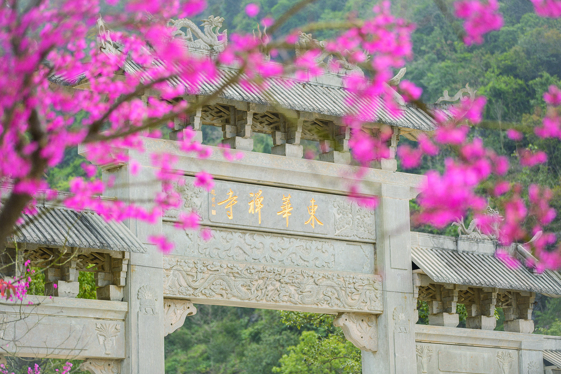 　　圖：鮮花簇擁下的東華禪寺山門