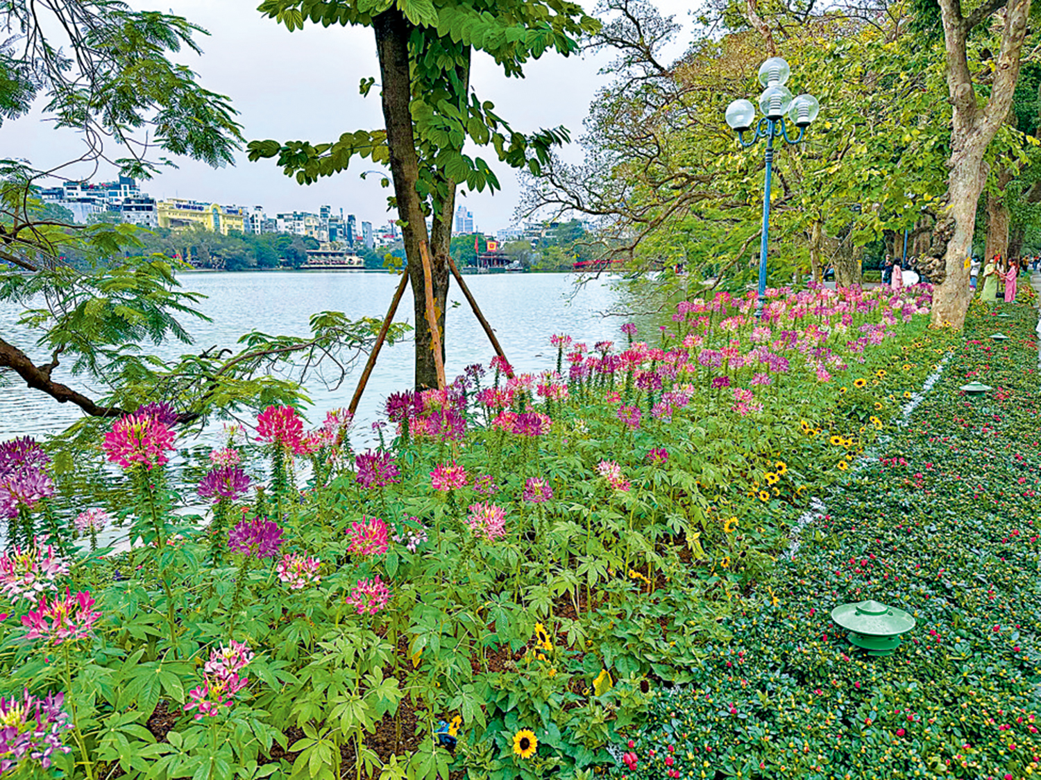 　　圖：越南河內還劍湖一景。\作者供圖