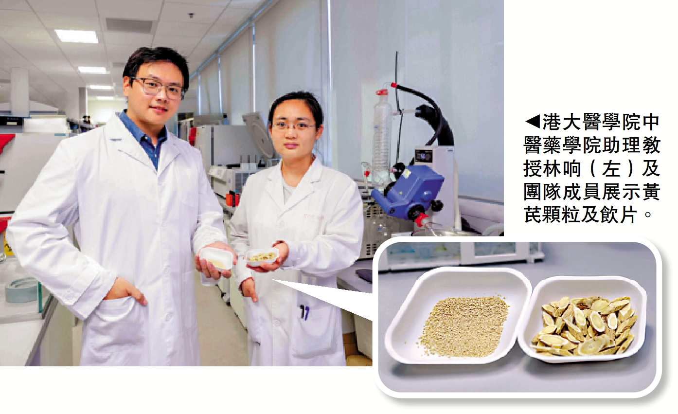 圖:港大醫學院中醫藥學院助理教授林响(左)及團隊成員展示黃芪顆粒及飲片。