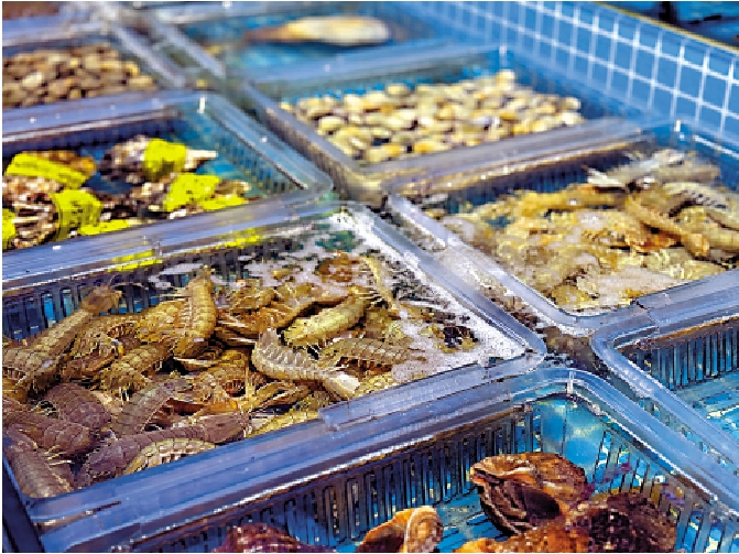 　　圖：射陽的海鮮。