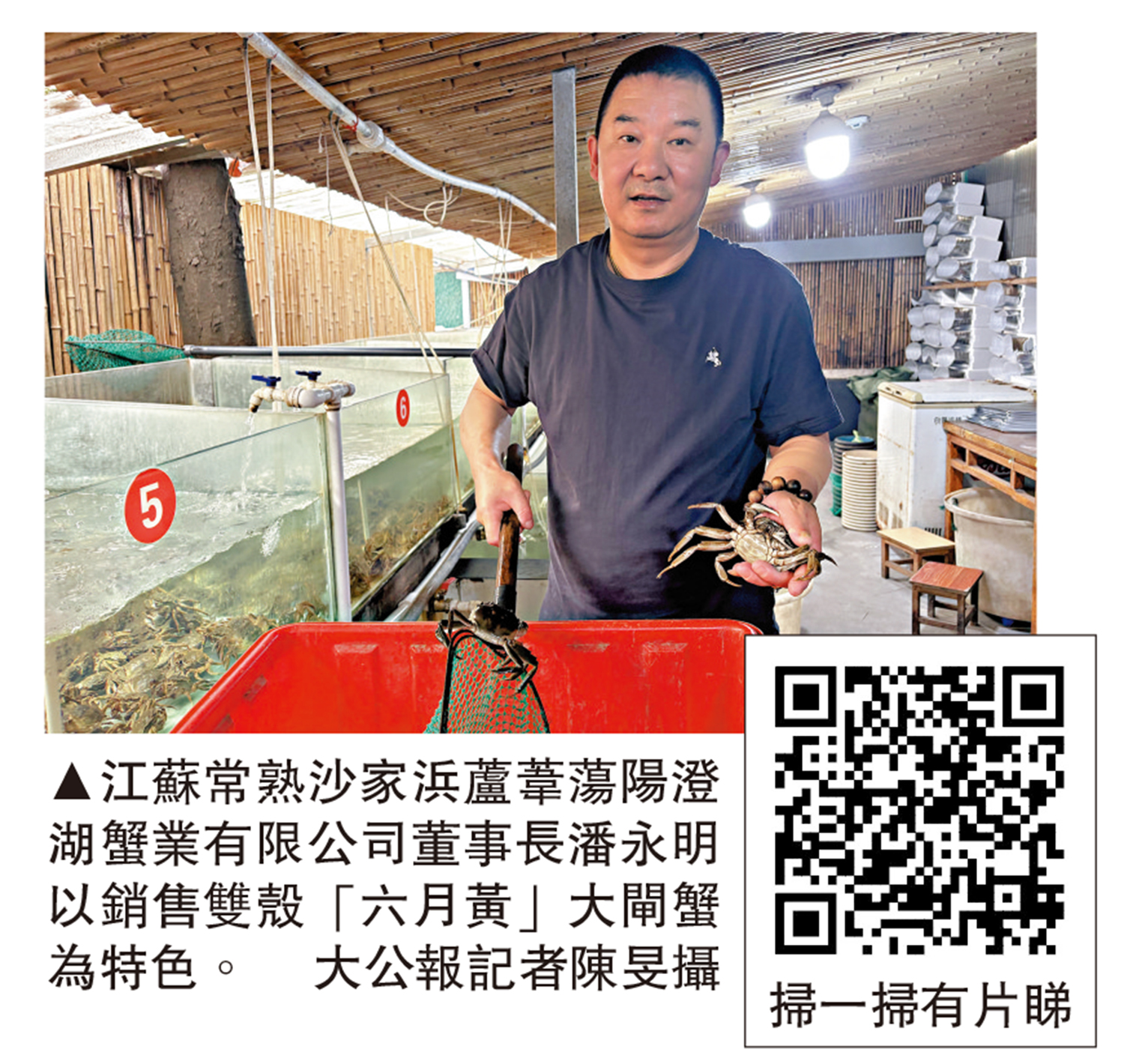 圖:江蘇常熟沙家浜蘆葦蕩陽澄湖蟹業有限公司董事長潘永明以銷售雙殼「六月黃」大閘蟹為特色。\大公報記者陳旻攝