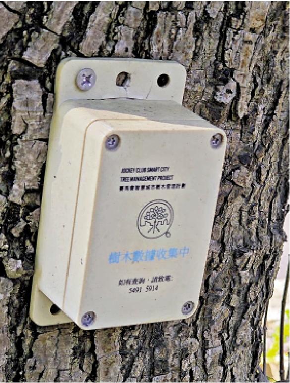 　　圖：智能監測系統能通過收集樹木傾斜度、健康狀態等數據，實時評估其倒塌風險。