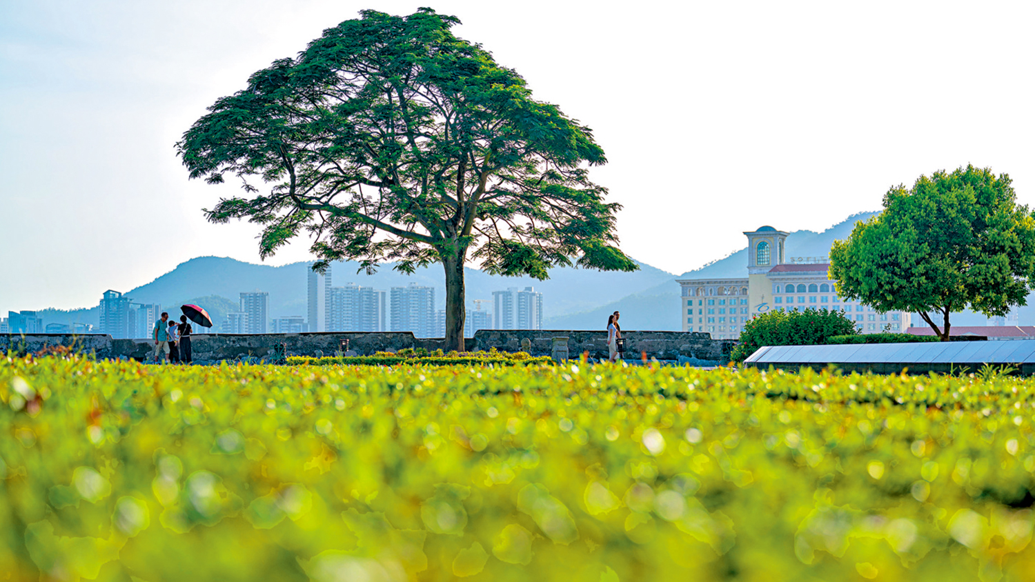 　　圖：遊客在澳門大炮台花園遊覽。\新華社