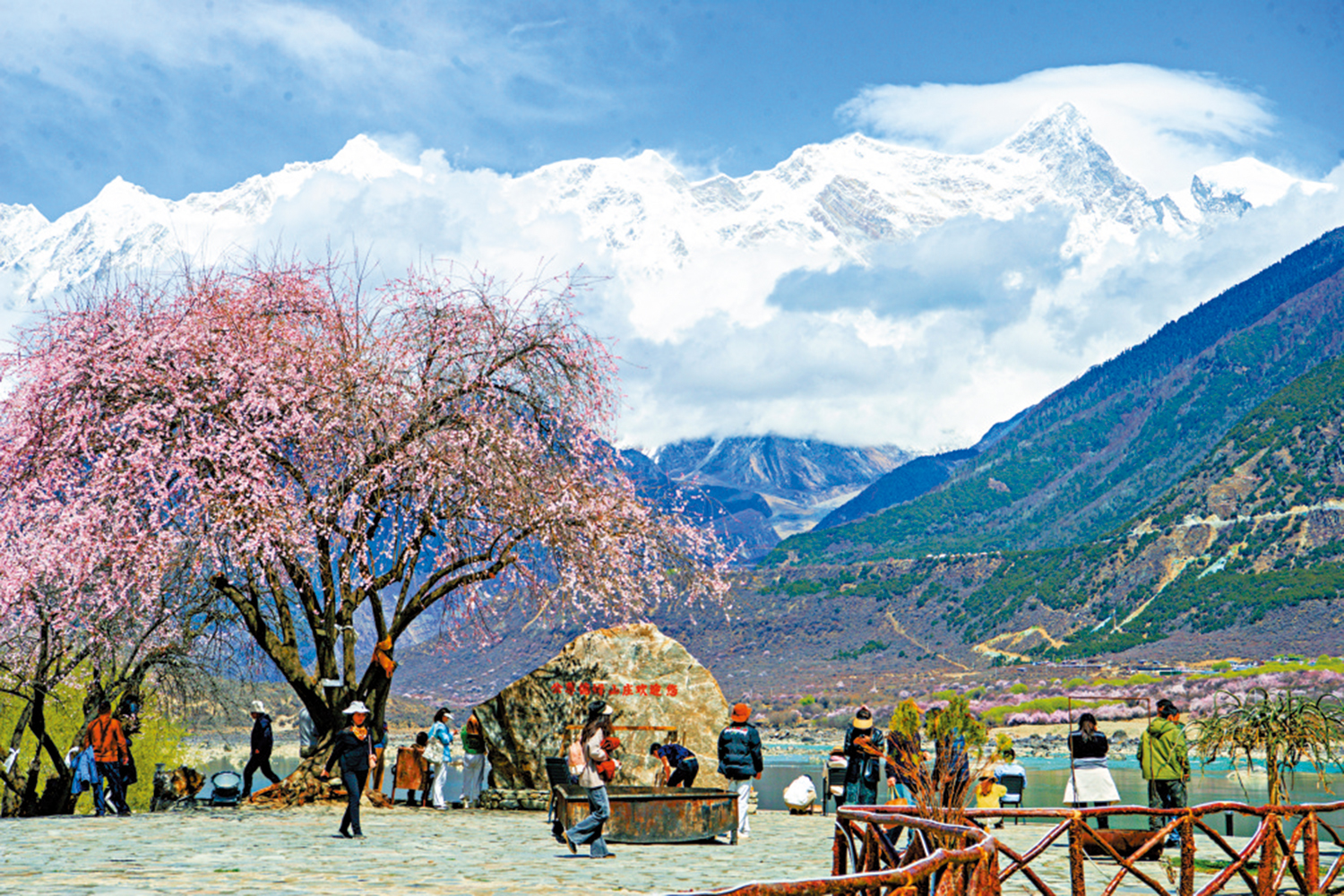 　　圖：西藏林芝米林市境內的南迦巴瓦峰，被譽為「眾山之父」，海拔7782米，山頂終年積雪。圖為遊客在桃花樹下觀賞南迦巴瓦峰美景。 中新社