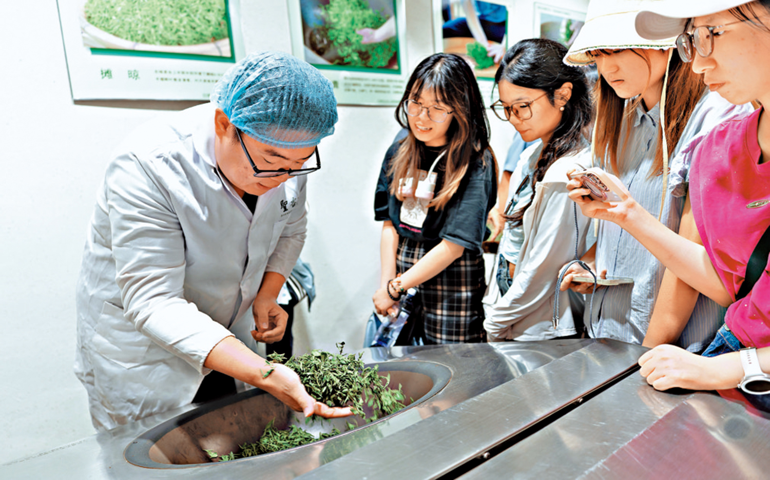 　　圖：學子們觀摩非物質文化遺產手工茶葉製作。\大公報記者胡卧龍攝