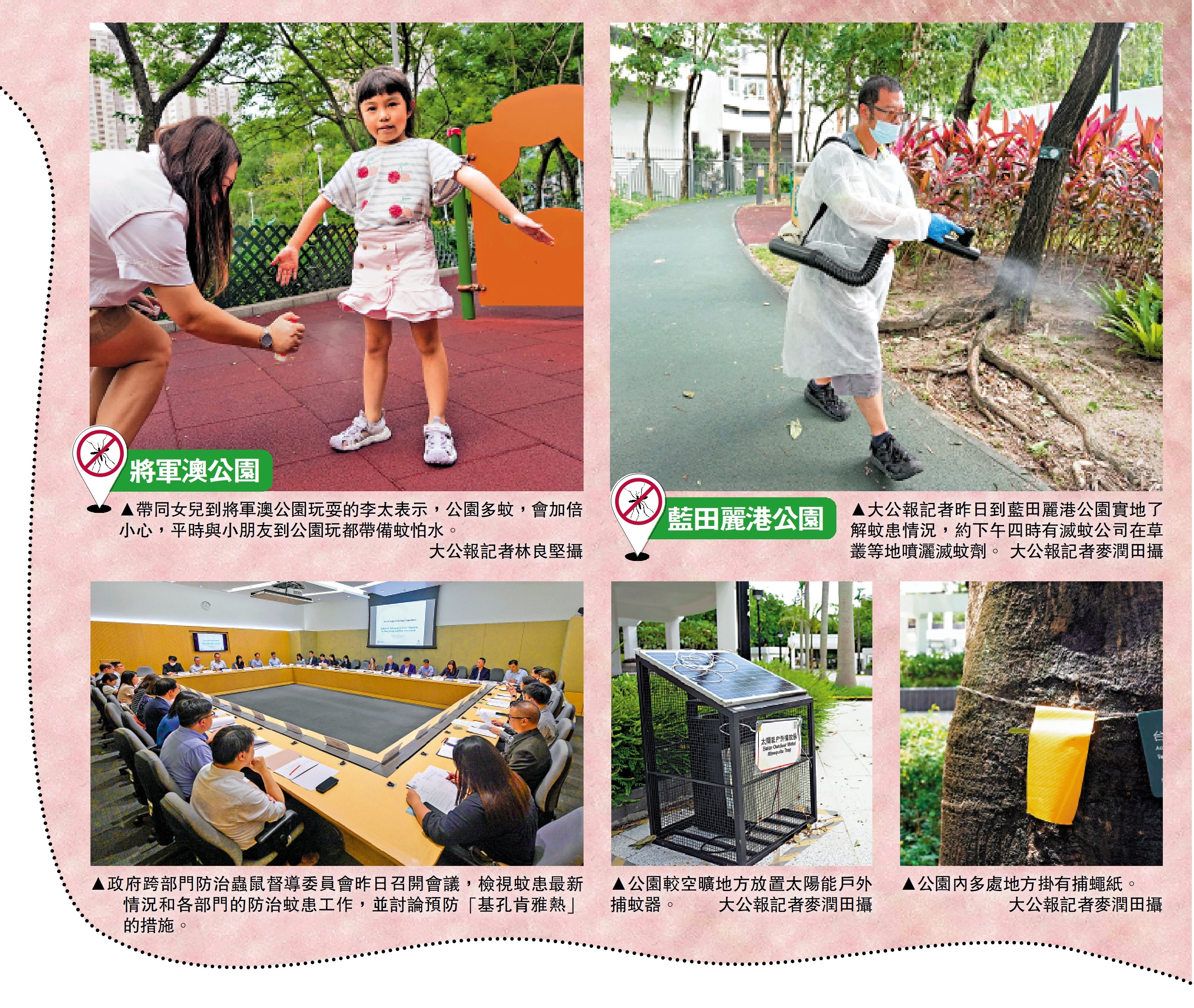 　　圖：「基孔肯雅熱」殺埋身　全城齊防蚊