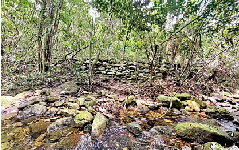 　　圖：考據隊歷經多次無功而返的跋涉，終於在這片人跡罕至的溪谷旁，鎖定東江縱隊港九大隊政訓室遺址。