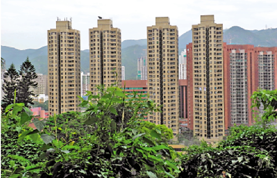 　　圖：沙田偉華中心有買家趁「黑雨假」睇樓，即時拍板入市。