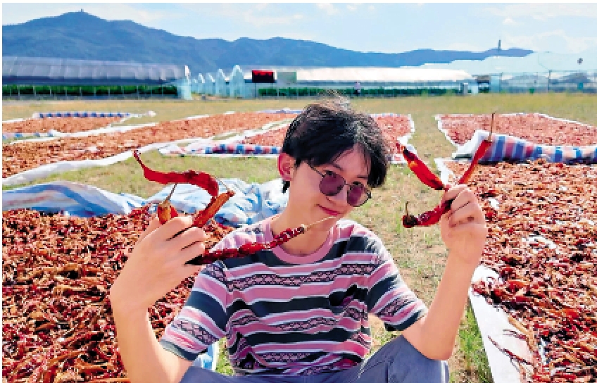 　　圖：學子與遍地鋪開的乾辣椒同框留影。\大公報實習記者尹瑾攝