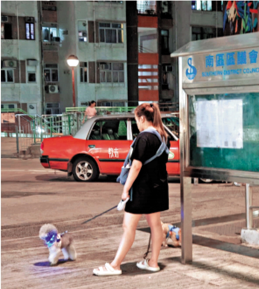 　　圖：利東邨有居民如常放狗，表示下雨天之後蚊子會多一點，所以常備一瓶蚊怕水來防蚊。