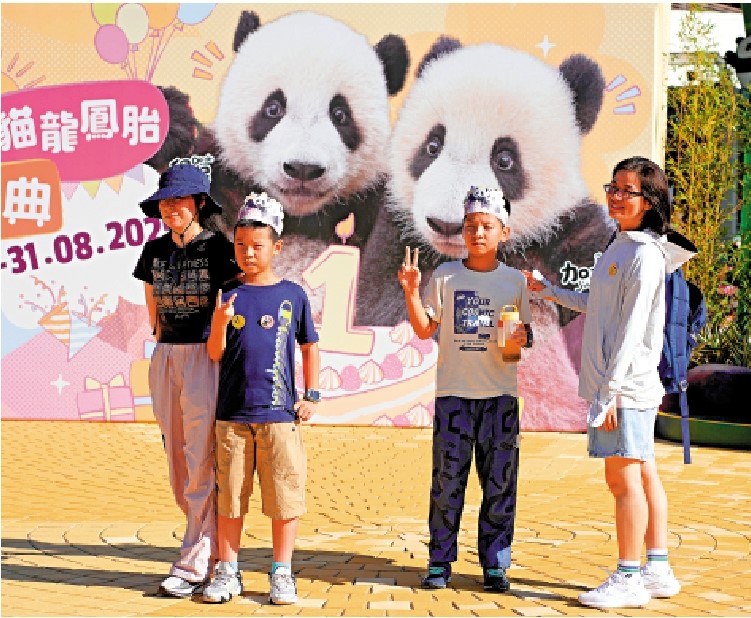　　圖：大熊貓熱潮有助吸引旅客來港。