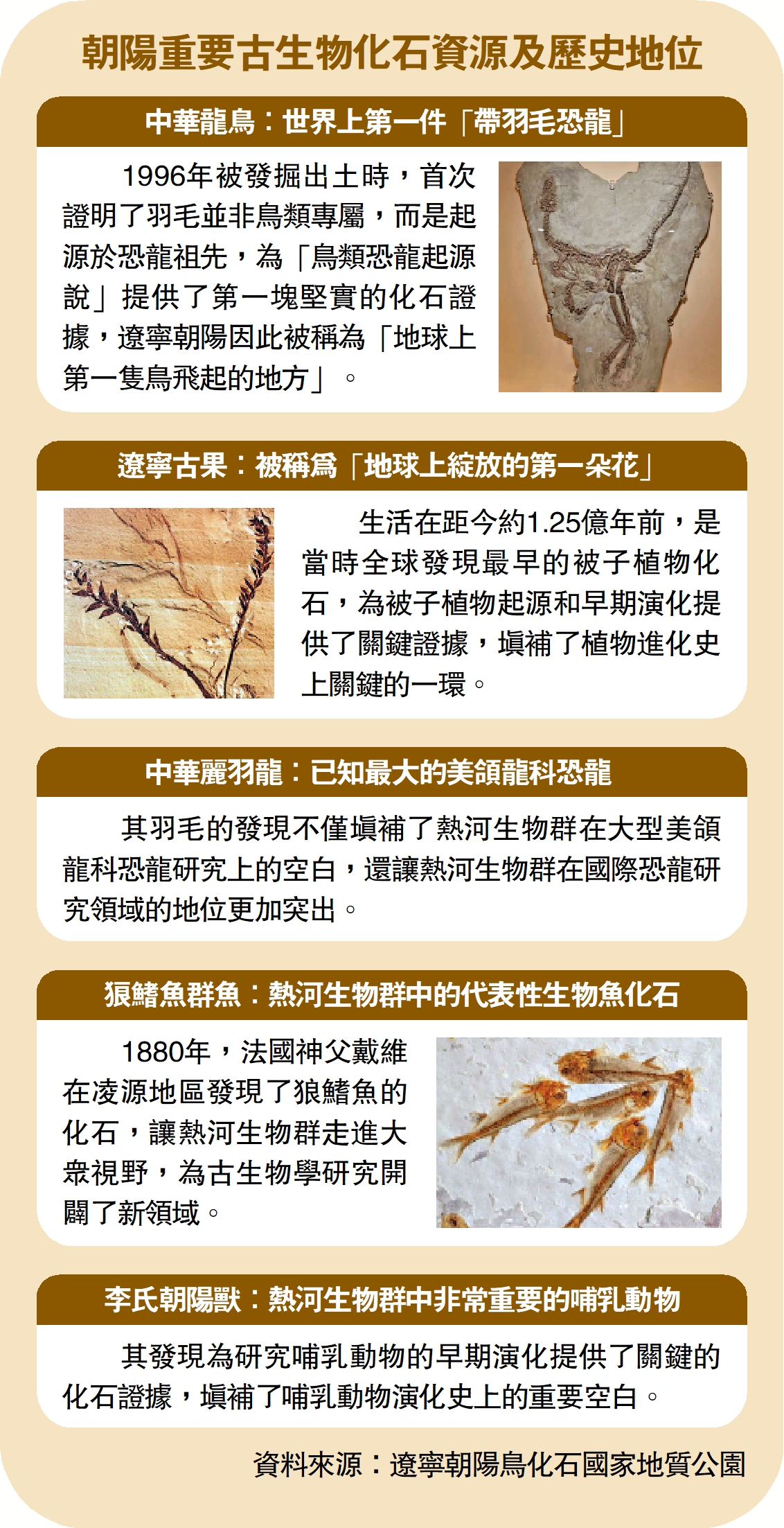 　　圖：朝陽重要古生物化石資源及歷史地位