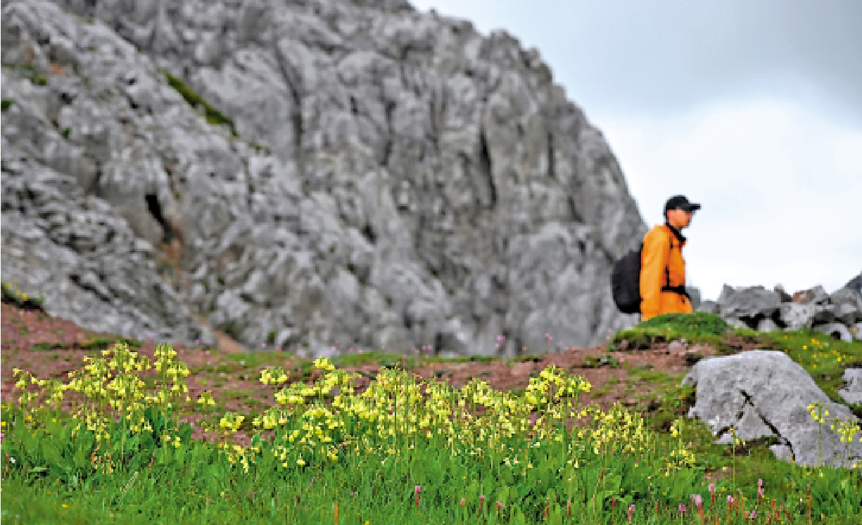　　圖：示弱是企業在起伏的海浪中一種周旋的智慧，重點是示弱並非放棄，抱有闖的信念，就沒有翻不過的山。