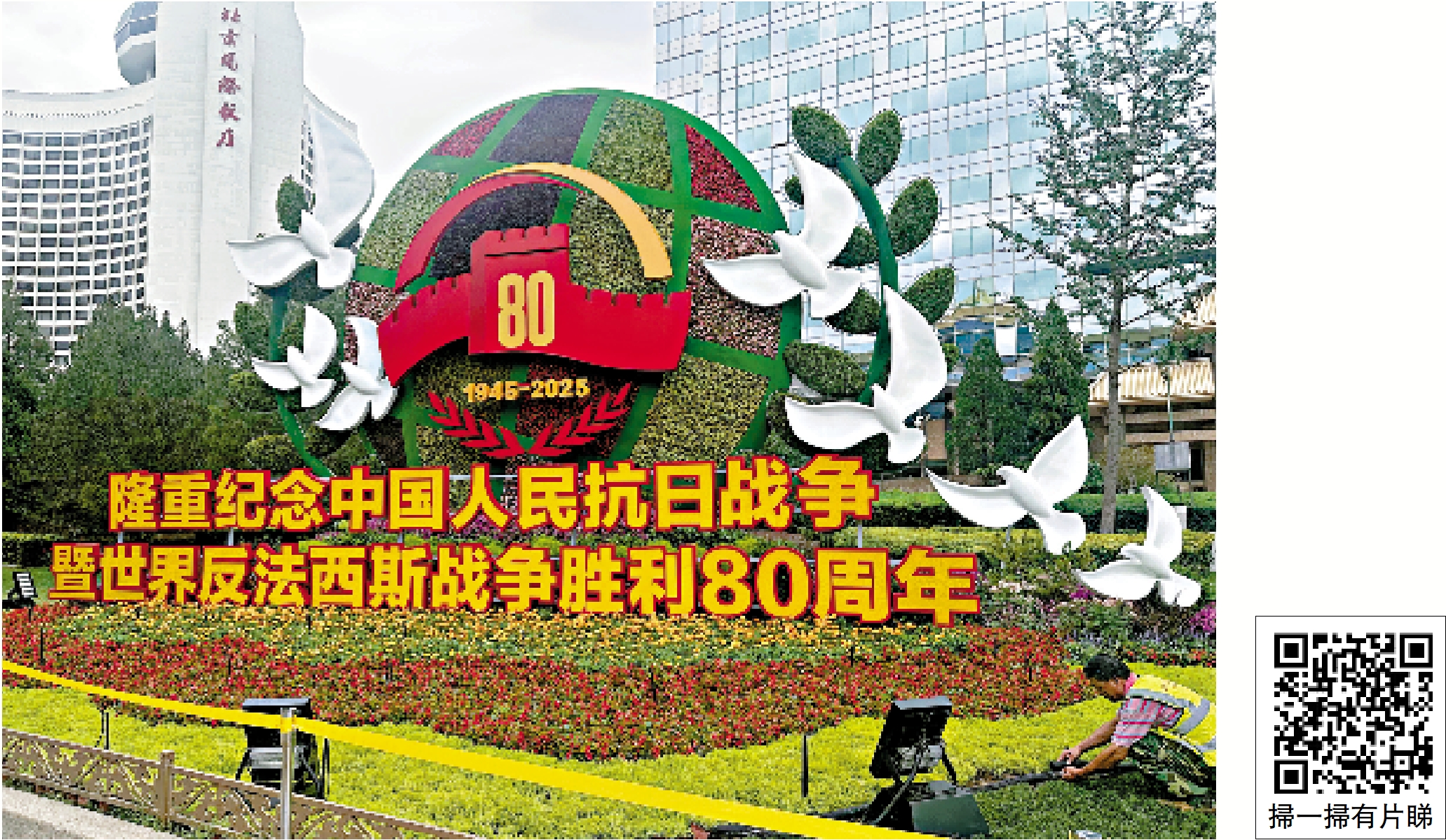 　　圖：抗戰勝利80周年花壇耀目