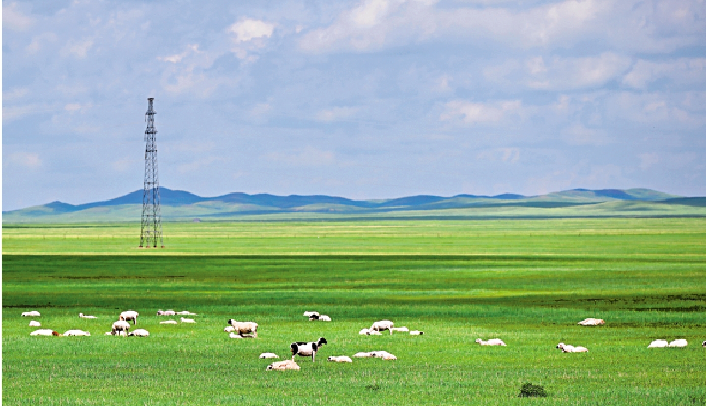 　　圖：內蒙古錫林郭勒盟東烏珠穆沁旗草原上的羊群。/新華社