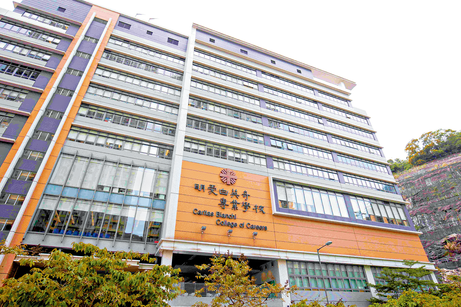 　　圖：明愛白英奇專業學校正式成為聖方濟各大學學院。