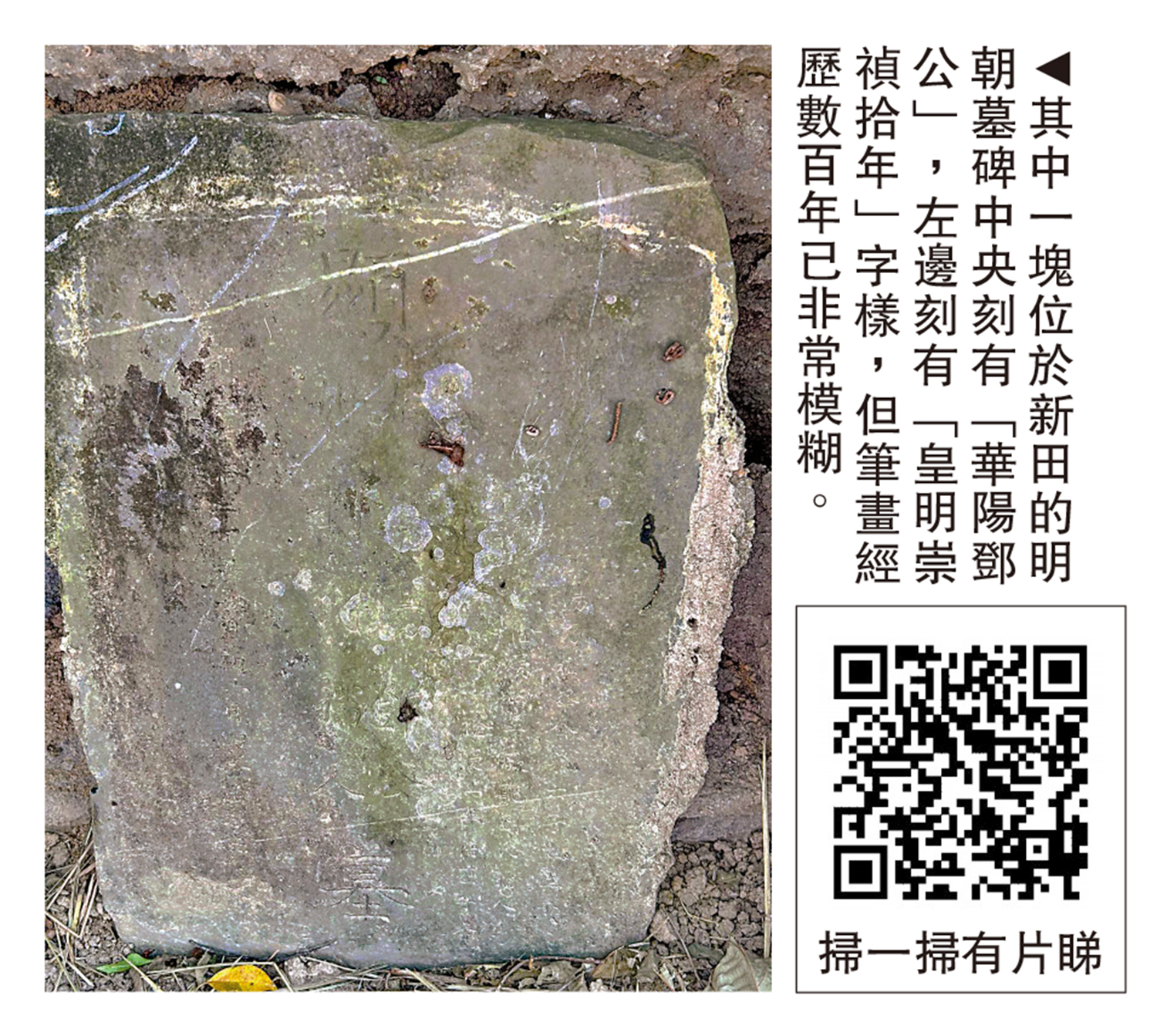 　　圖：其中一塊位於新田的明朝墓碑中央刻有「華陽鄧公」，左邊刻有「皇明崇禎拾年」字樣，但筆畫經歷數百年已非常模糊。