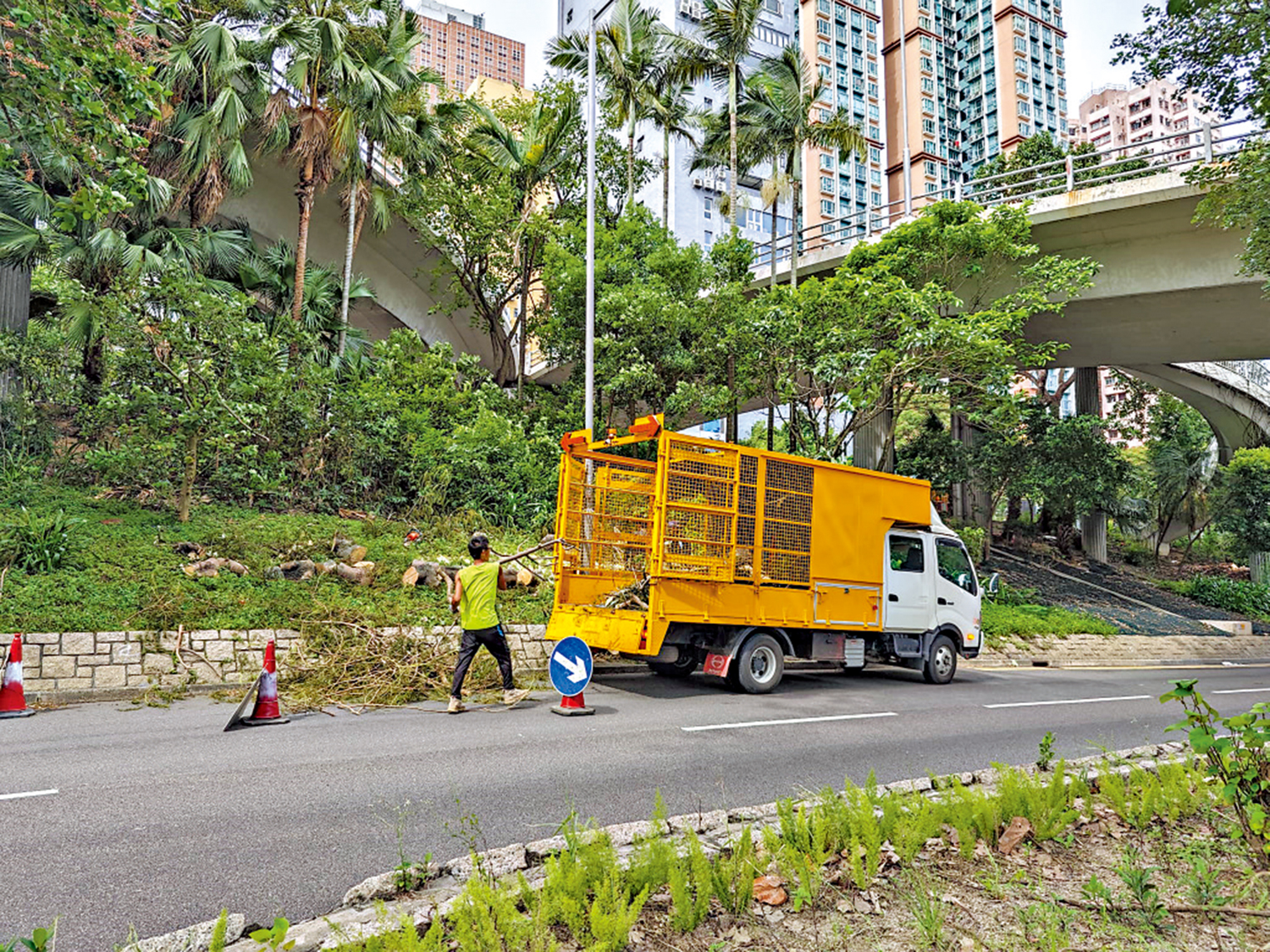 　　圖：風雨過後清潔人員清理路邊倒塌的樹木。