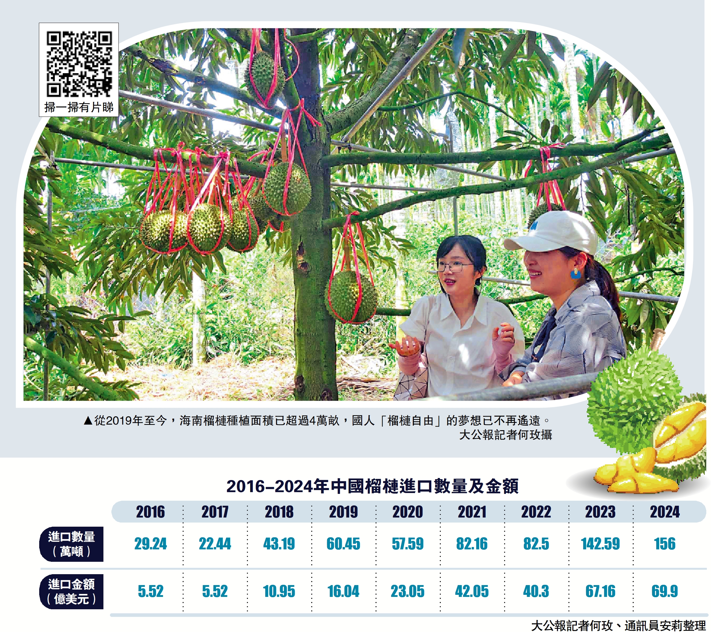　　圖：從2019年至今，海南榴槤種植面積已超過4萬畝，國人「榴槤自由」的夢想已不再遙遠。/大公報記者何玫攝