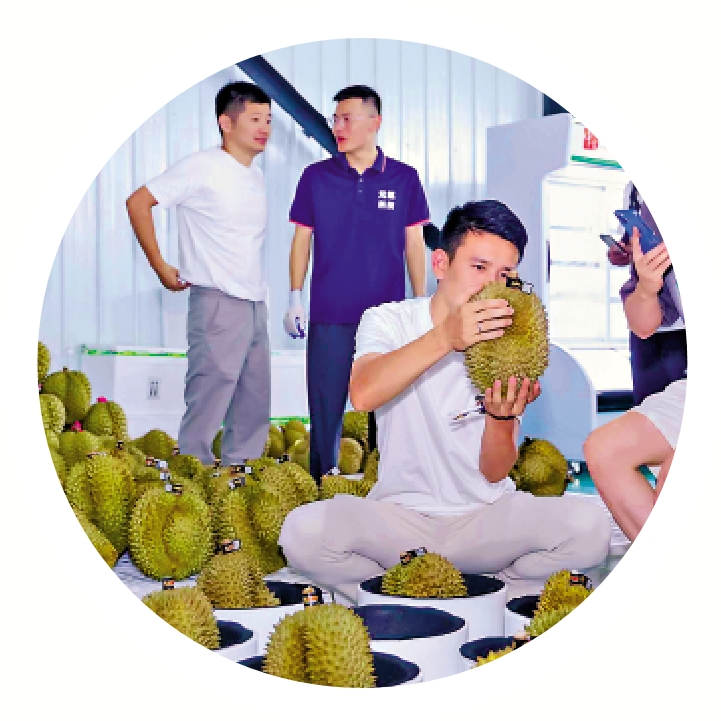 　　圖：海南榴槤受到全國客商的歡迎。