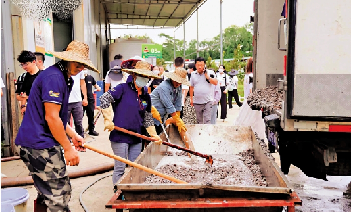 　　圖：海南當地產的海雜魚成了榴槤的肥料。/受訪者供圖