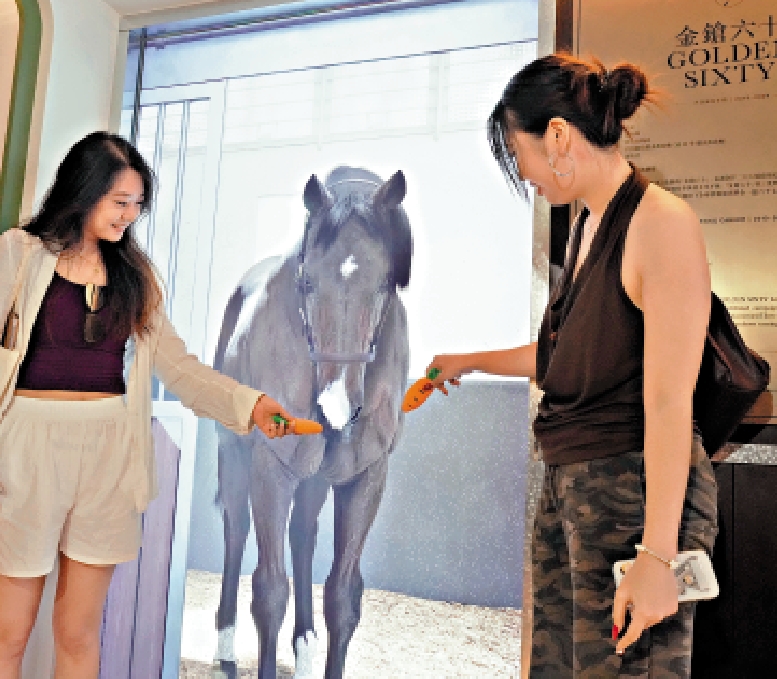 　　圖：「金鎗六十」是3屆香港馬王。\大公報記者林少權攝