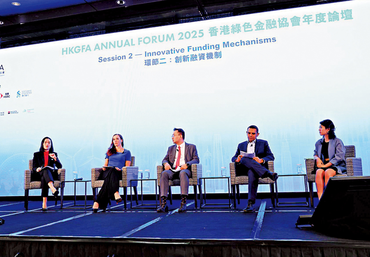 　　圖：多名專家在年度論壇上為建立全球「創新融資機制」提供意見。